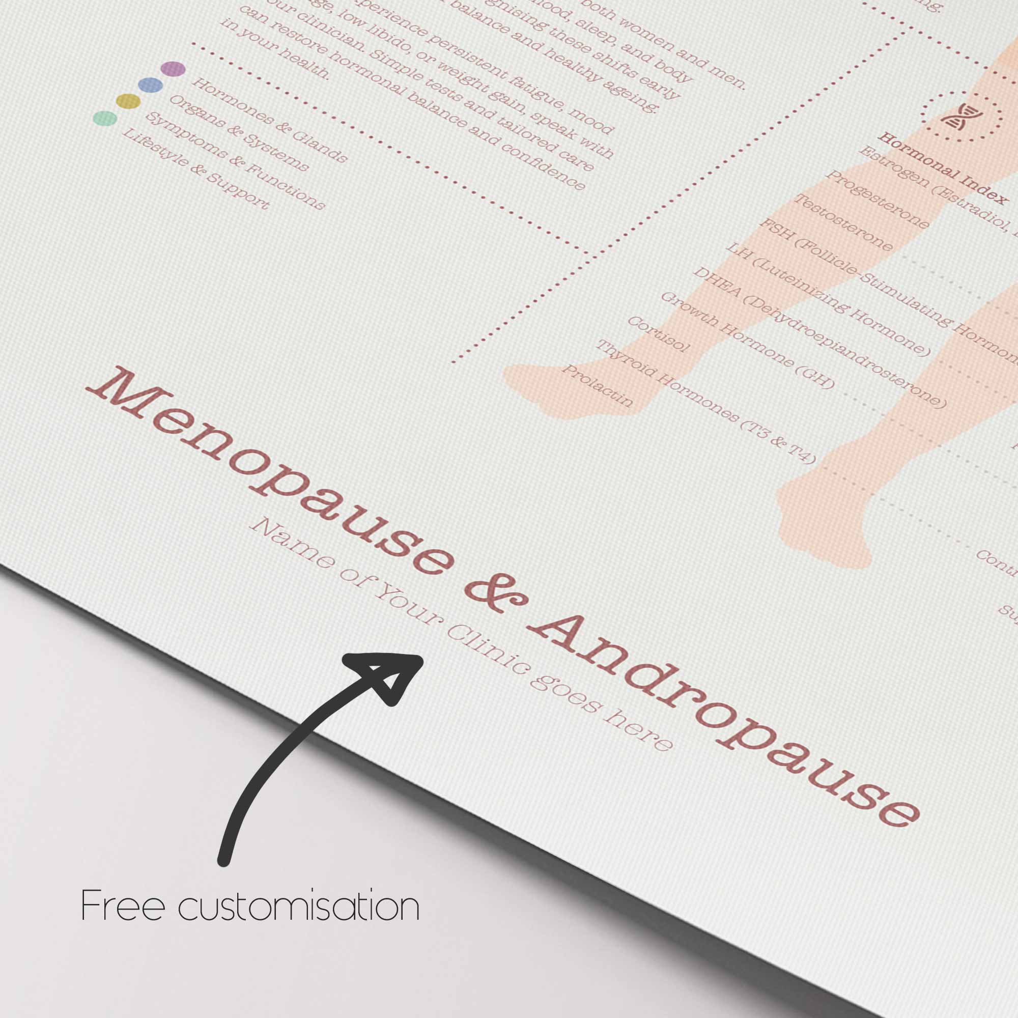 Menopause & Andropause – Hormonal Changes in Women & Men Anatomy Chart