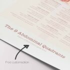 The 9 Abdominal Quadrants anatomy chart for clinics