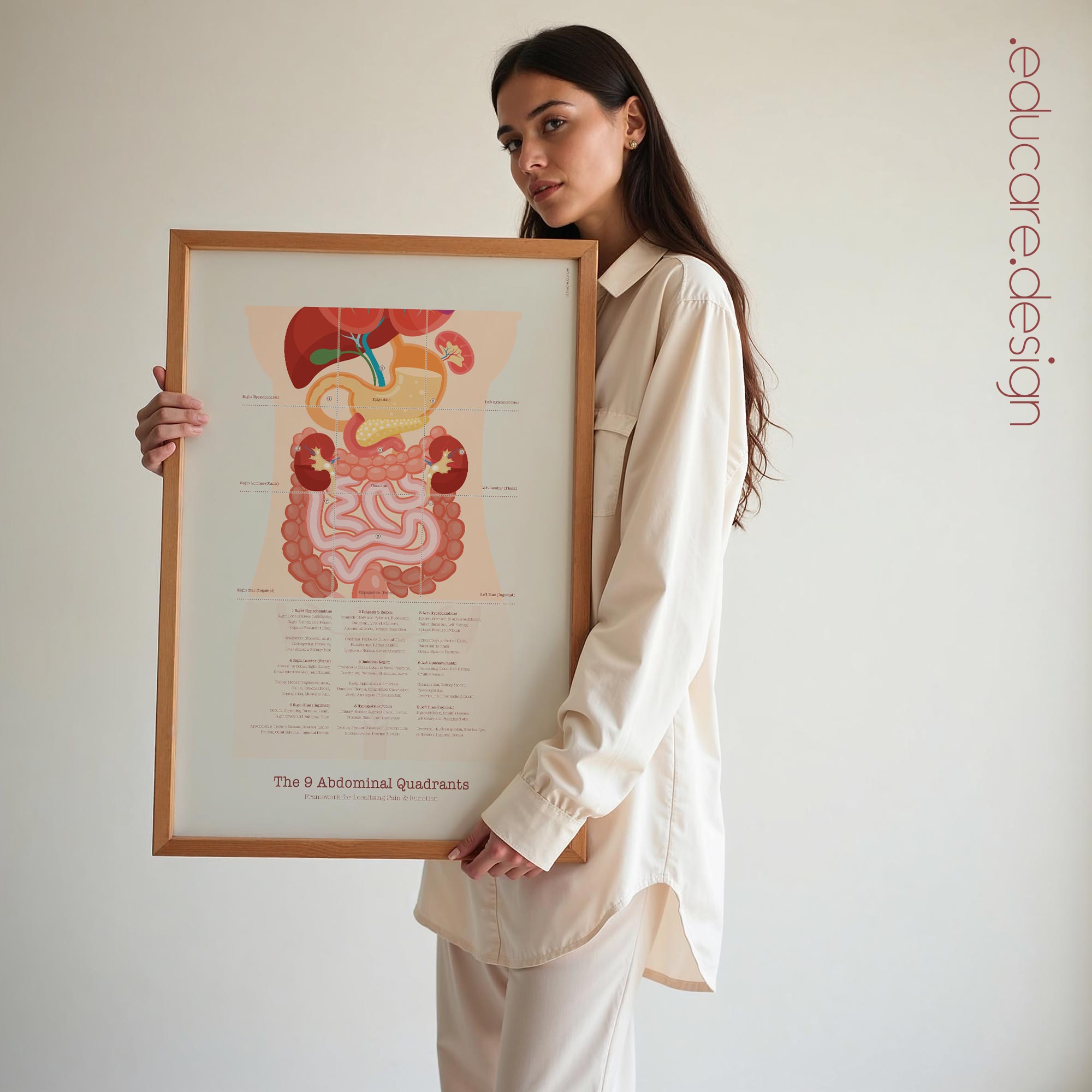 The 9 Abdominal Quadrants – educare.design The 9 Abdominal Quadrants Anatomy Chart