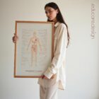 Menopause & Andropause – Hormonal Changes in Women & Men Anatomy Chart