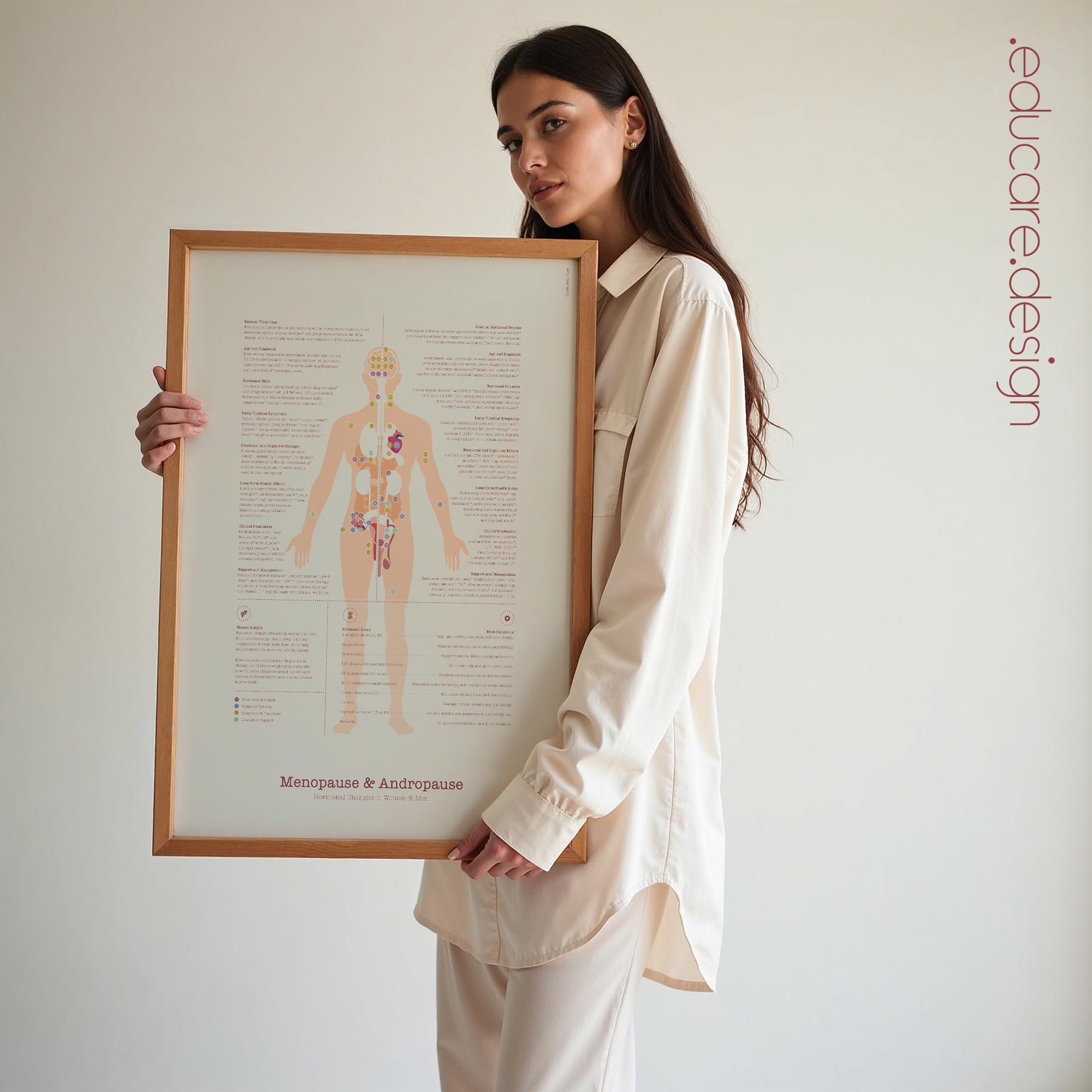 Menopause & Andropause – Hormonal Changes in Women & Men Anatomy Chart