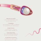 Gametogenesis Anatomy Set – Spermatogenesis & Oogenesis Charts