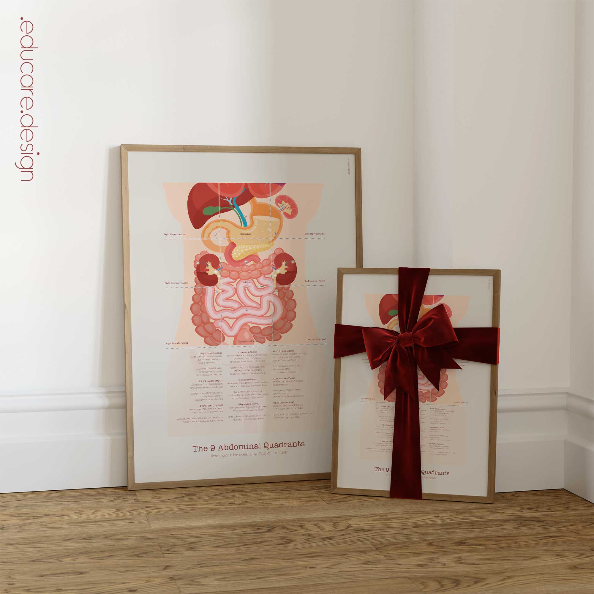 The 9 Abdominal Quadrants Anatomy Chart