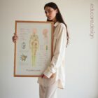 The Lymphatic System anatomy chart for clinics