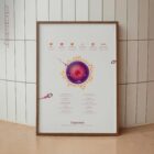 Gametogenesis Anatomy Set – Spermatogenesis & Oogenesis Charts