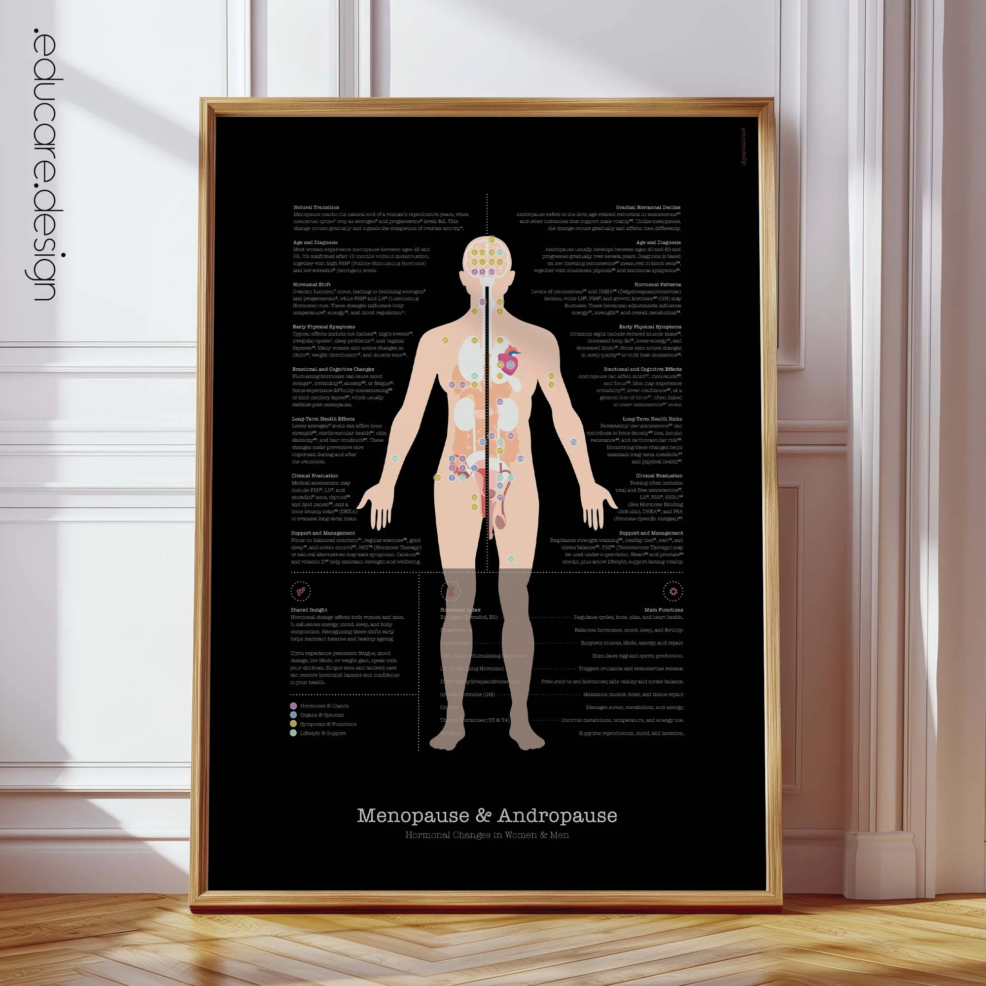 Menopause & Andropause – Hormonal Changes in Women & Men Anatomy Chart
