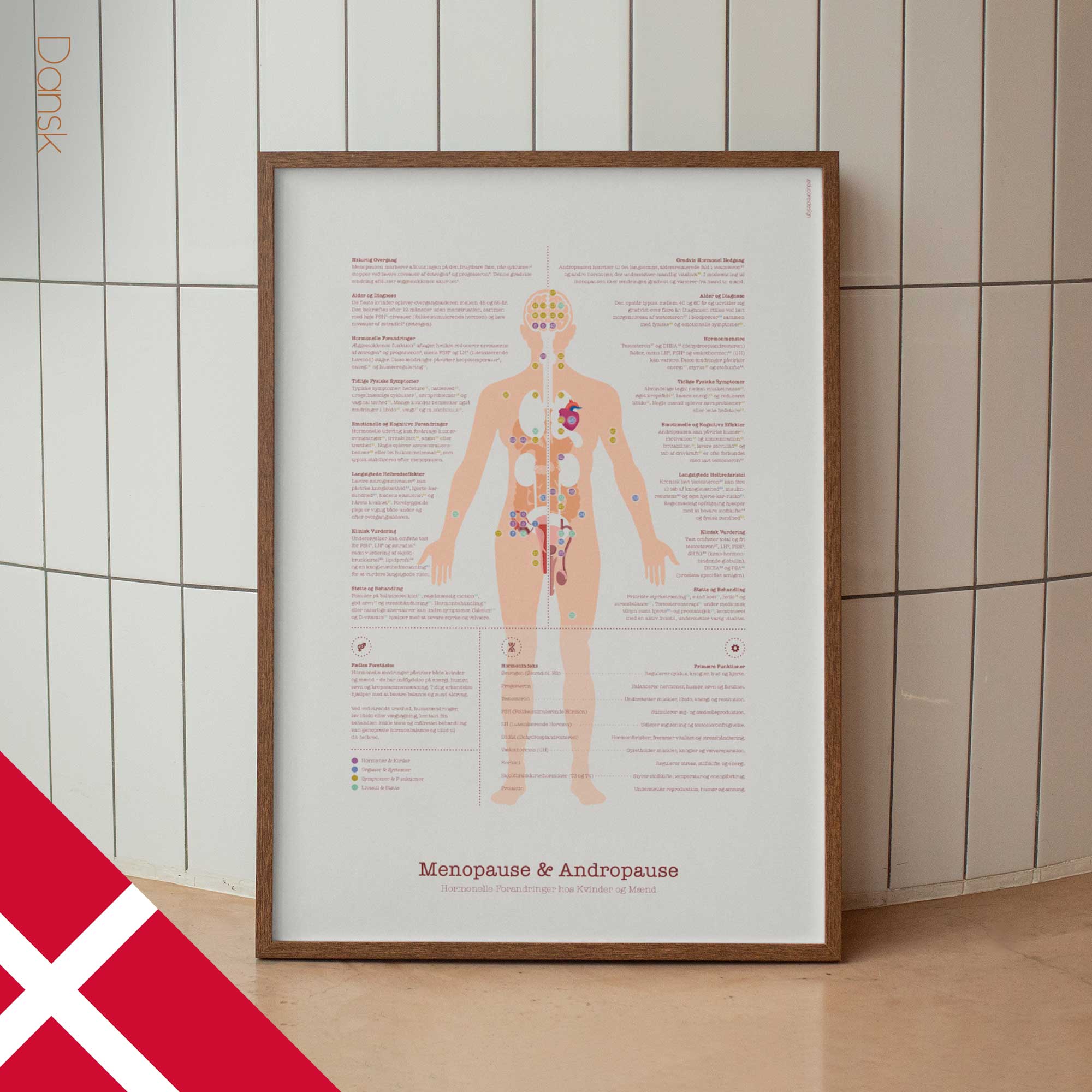 Menopause & Andropause – Hormonal Changes in Women & Men Anatomy Chart