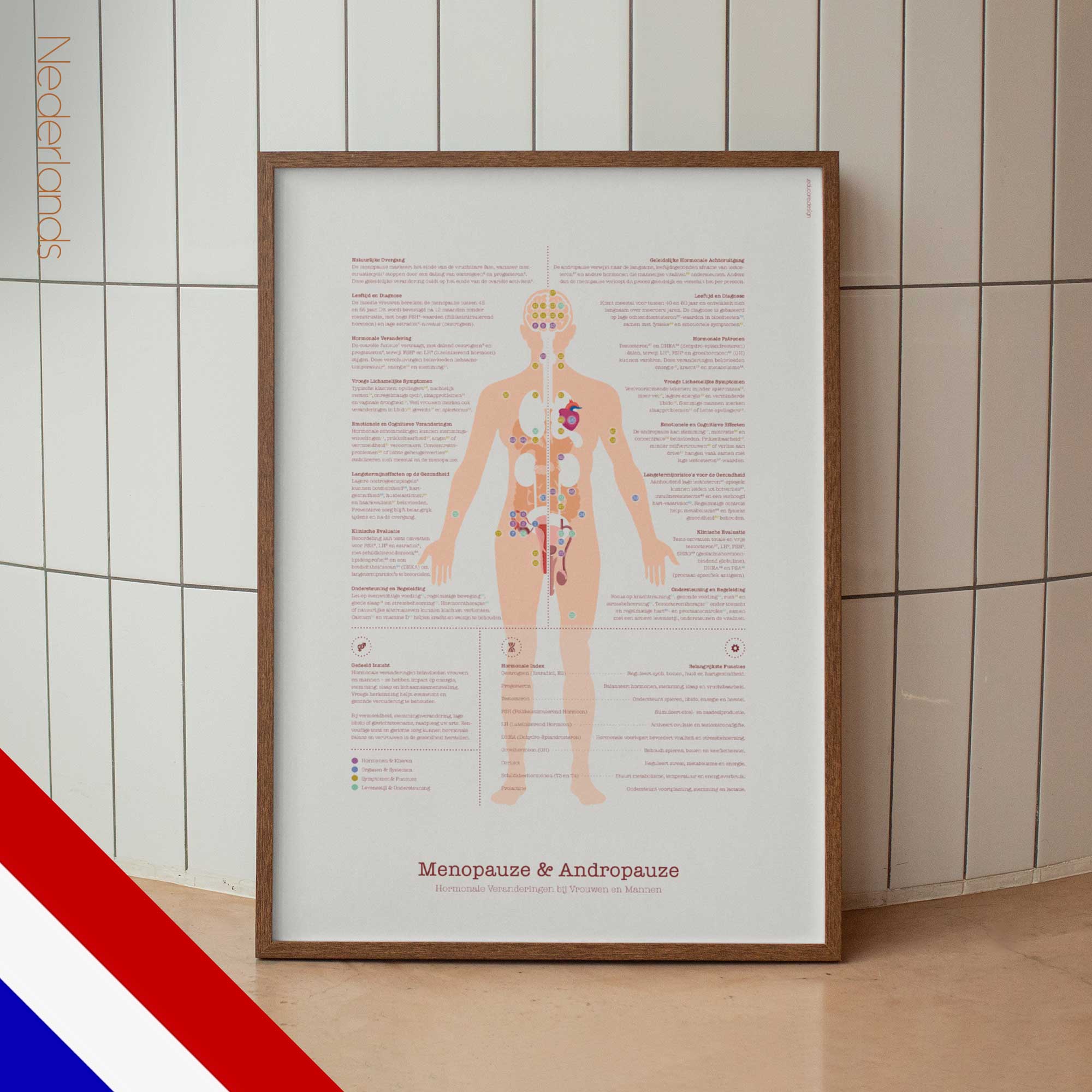 Menopause & Andropause – Hormonal Changes in Women & Men Anatomy Chart