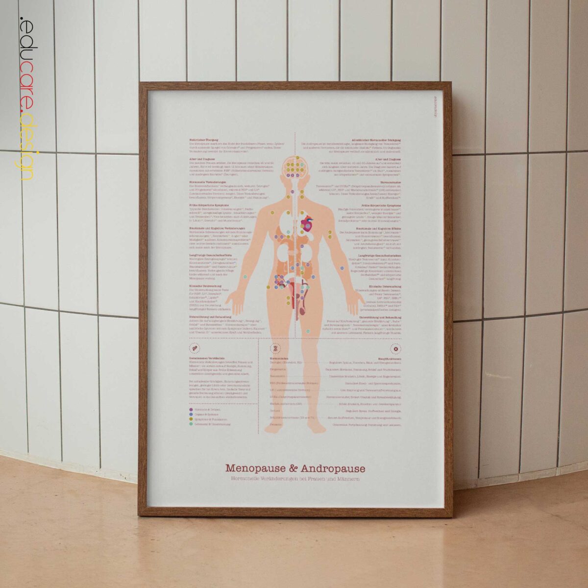 Menopause & Andropause – Hormonal Changes in Women & Men Anatomy Chart