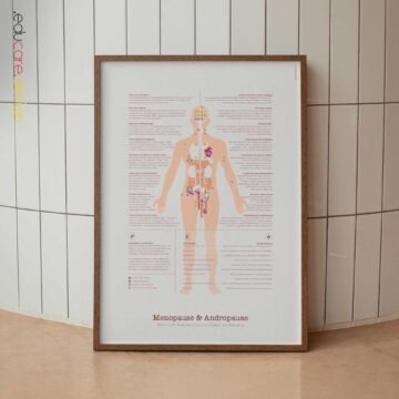 Menopause & Andropause – Hormonal Changes in Women & Men Anatomy Chart