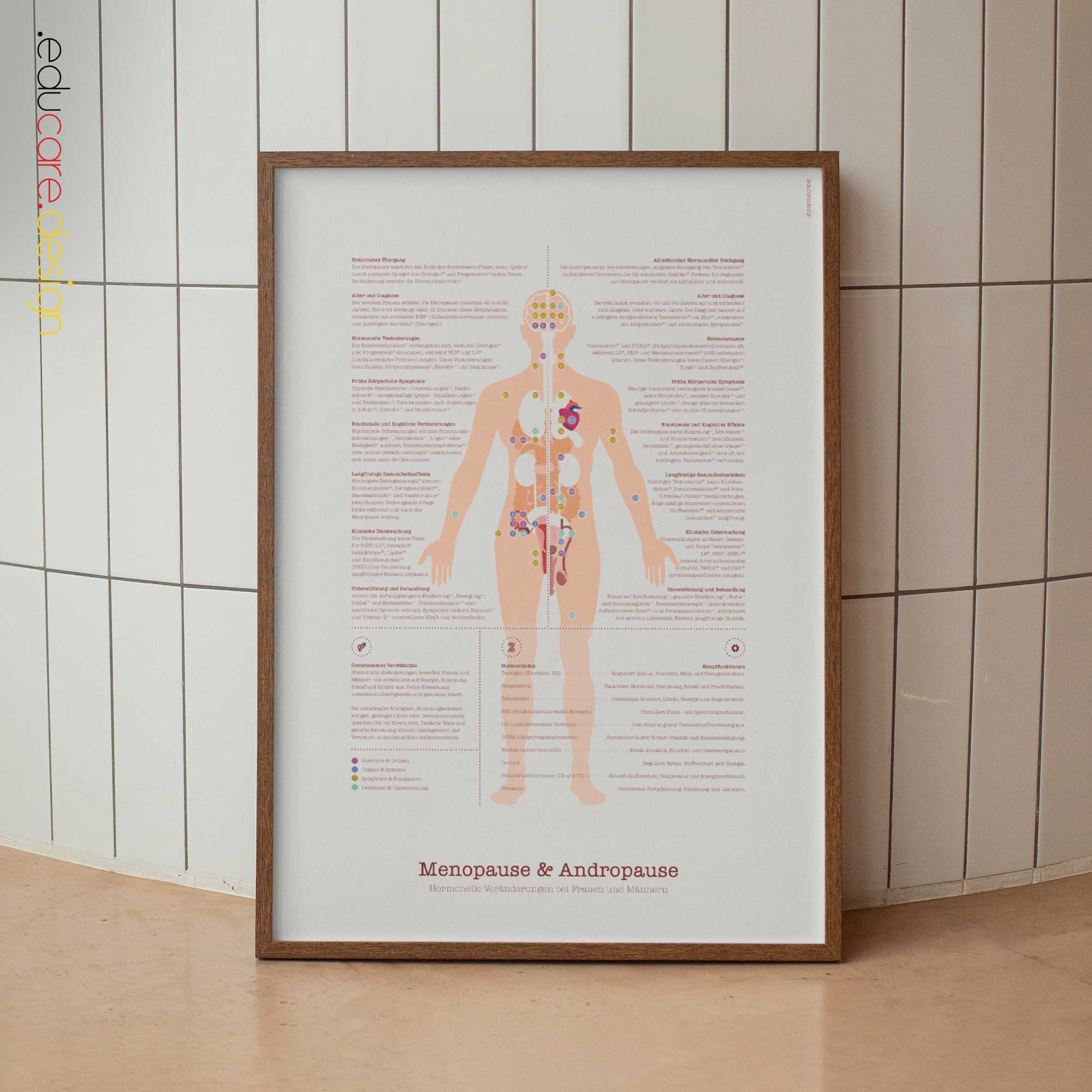 Menopause & Andropause – Hormonal Changes in Women & Men Anatomy Chart