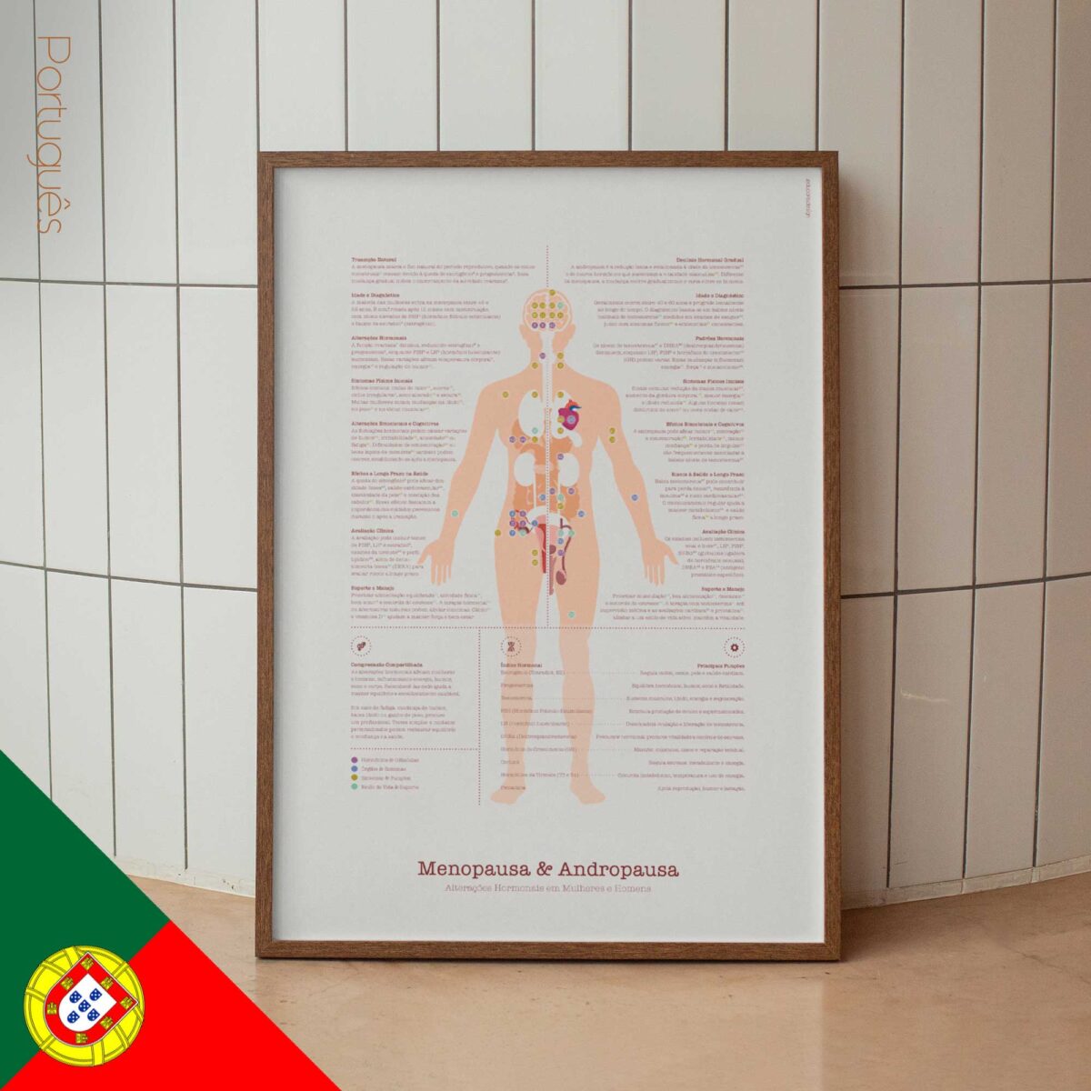 Menopause & Andropause – Hormonal Changes in Women & Men Anatomy Chart