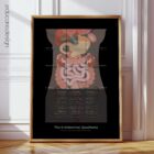 The 9 Abdominal Quadrants – educare.design The 9 Abdominal Quadrants Anatomy Chart - Black Edition