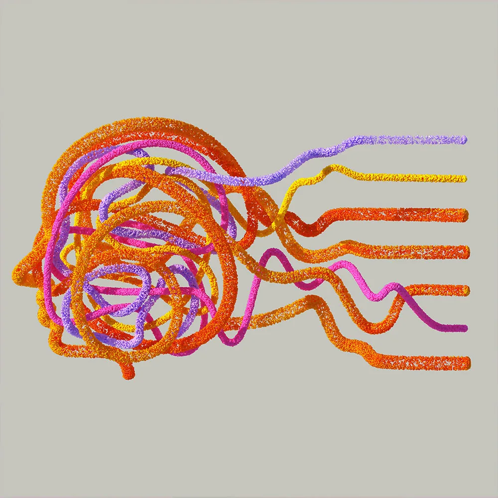 autonomic nervous system main jpg – Premium Anatomy Chart by educare.design