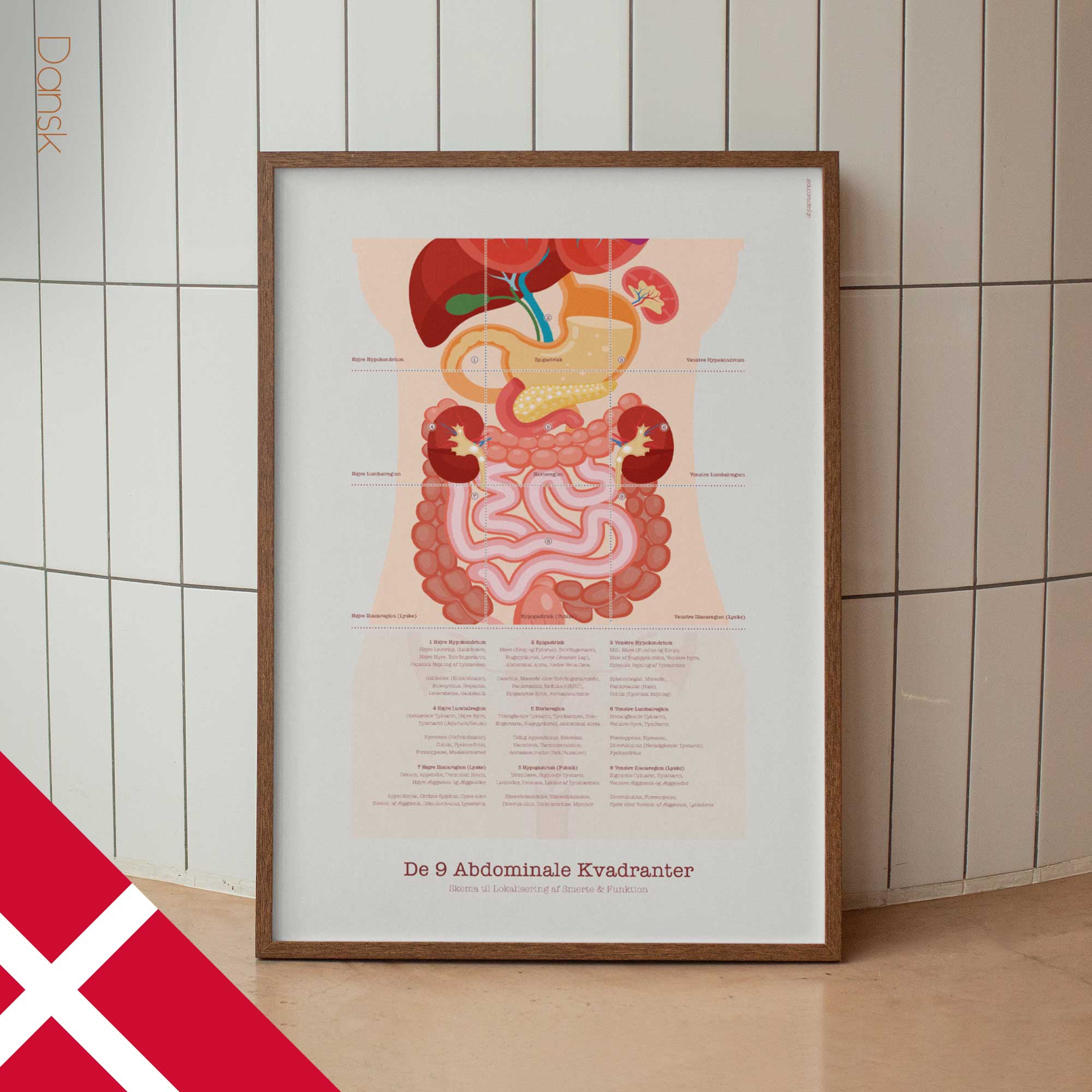 The 9 Abdominal Quadrants Anatomy Chart