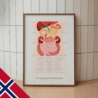 The 9 Abdominal Quadrants – educare.design The 9 Abdominal Quadrants Anatomy Chart