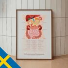 The 9 Abdominal Quadrants – educare.design The 9 Abdominal Quadrants Anatomy Chart