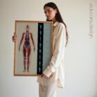 Fascial Lines and Myofascial Chains anatomy chart for clinics