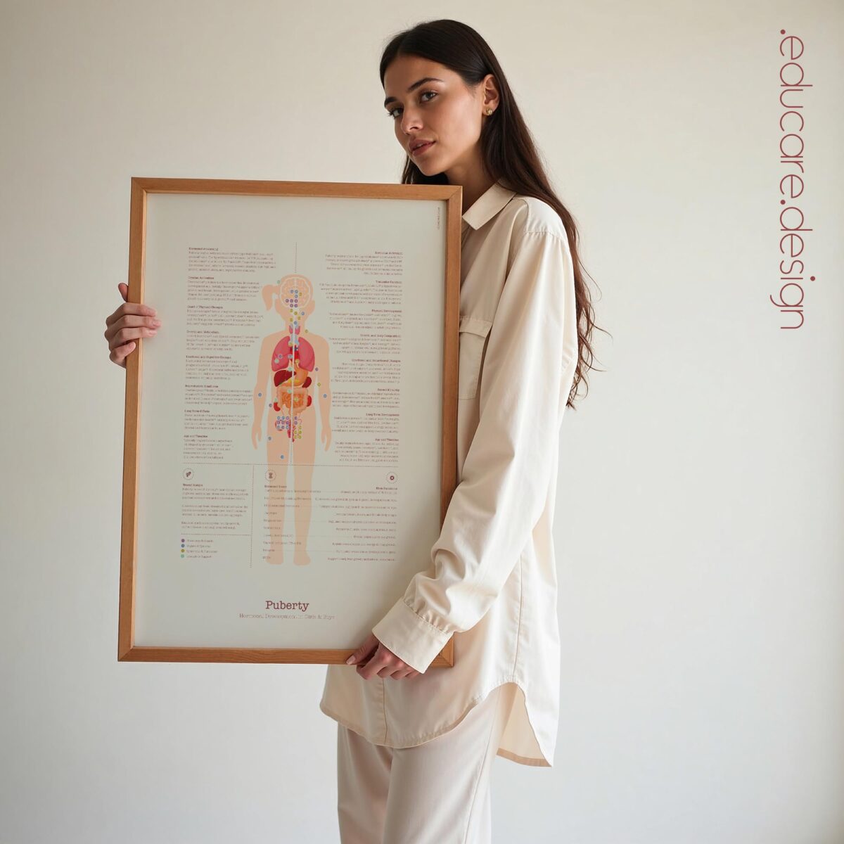 Puberty Anatomy Chart with Hormonal Development in Girls & Boys