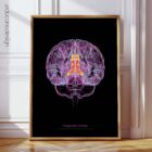 Cerebral Trilogy anatomy chart for clinics