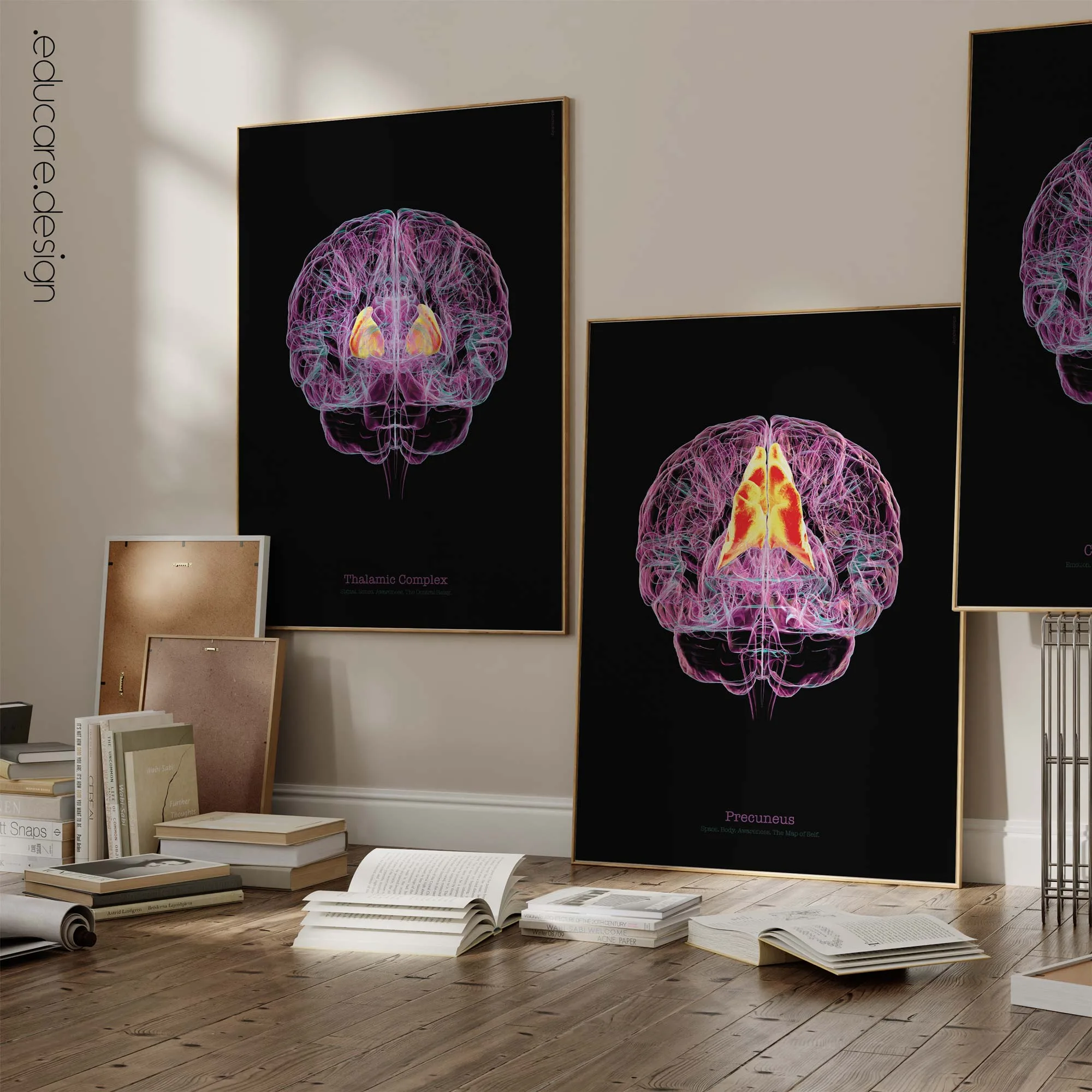 Your Thoughts anatomy chart for clinics Your Thoughts anatomy chart for clinics