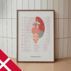 Kranienerver og Vestibulærsystemet anatomidiagram til klinikker