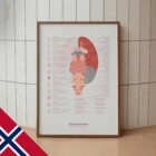 Kranialnerver og Vestibulærsystemet anatomidiagram for klinikker