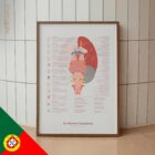 Nervos Cranianos e Sistema Vestibular diagrama anatómico para clínicas e consultórios