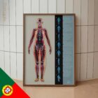 Linhas Fasciais e Cadeias Miofasciais diagrama anatómico para clínicas e consultórios