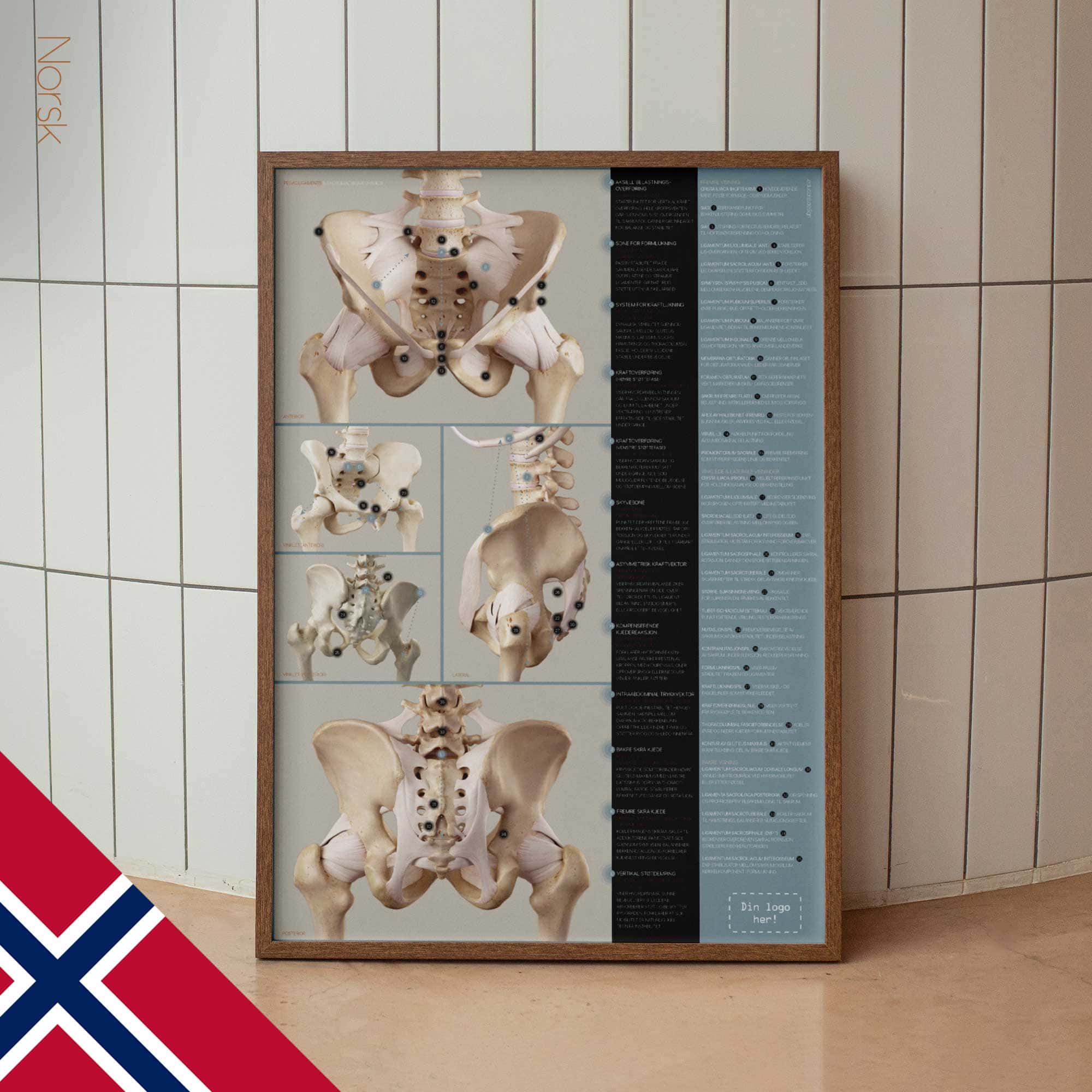 Pelvic Ligaments and Sacroiliac Biomechanics