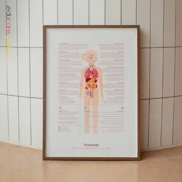 Puberty Anatomy Chart with Hormonal Development in Girls & Boys