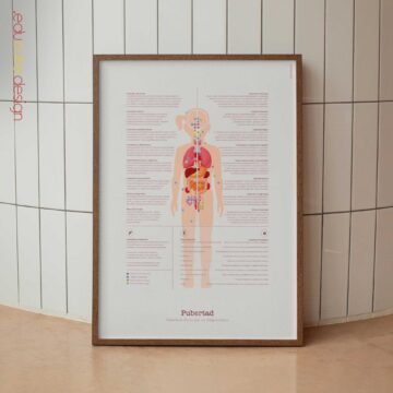 Puberty Anatomy Chart with Hormonal Development in Girls & Boys