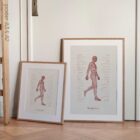 The Gait Cycle and Kinetic Chain anatomy chart for clinics