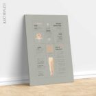 Sciatic Nerve Pain Quick Guide anatomy chart for clinics