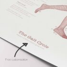 The Gait Cycle and Kinetic Chain anatomy chart for clinics