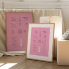 Pregnancy Support Quick Guide anatomy chart for clinics