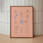Neck Pain Quick Guide anatomy chart for clinics