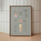 Sciatic Nerve Pain Quick Guide anatomy chart for clinics