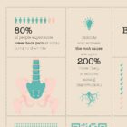 Lower Back Pain Quick Guide anatomy chart for clinics