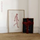 The Gait Cycle and Kinetic Chain anatomy chart for clinics