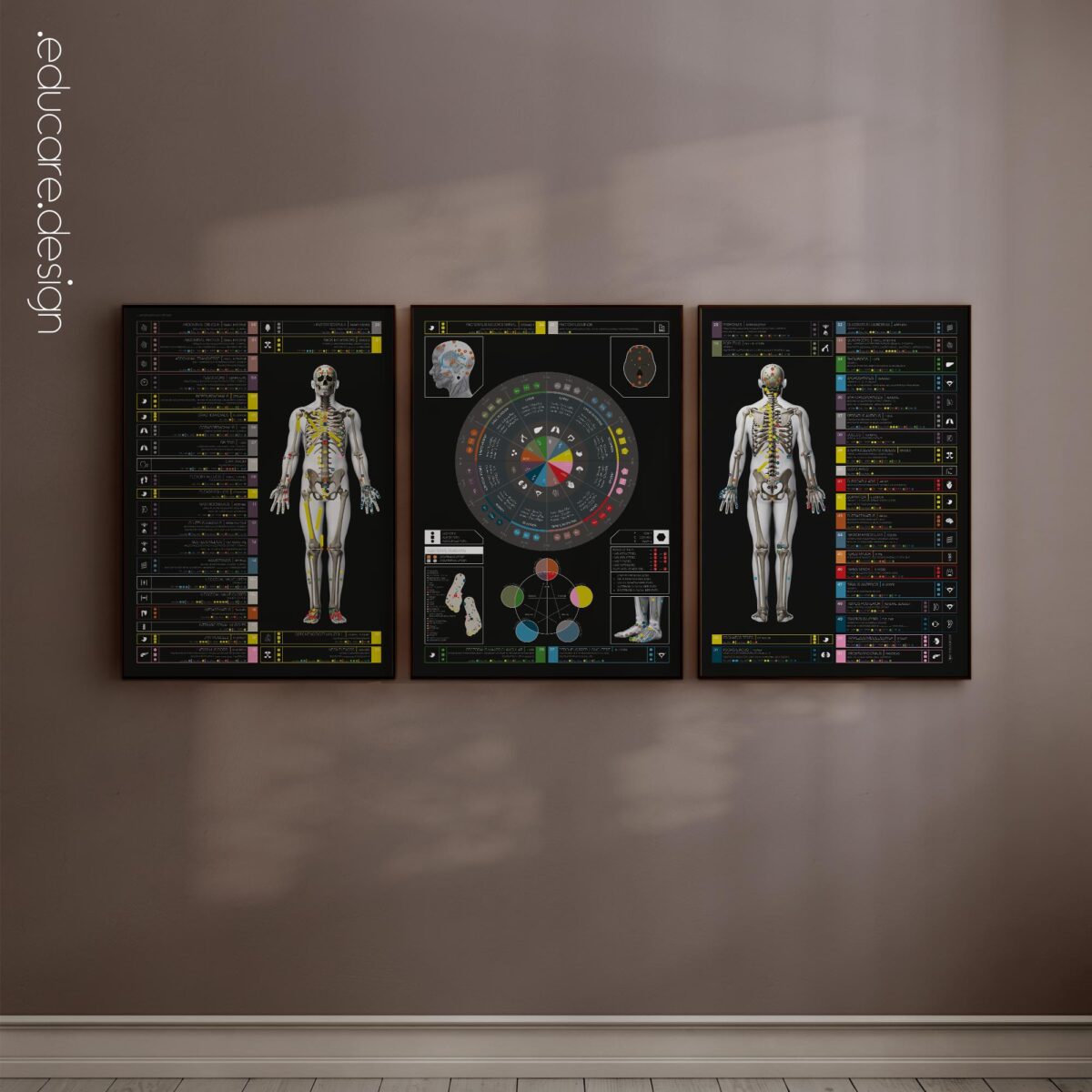 Applied Kinesiology Set - Special Black Edition