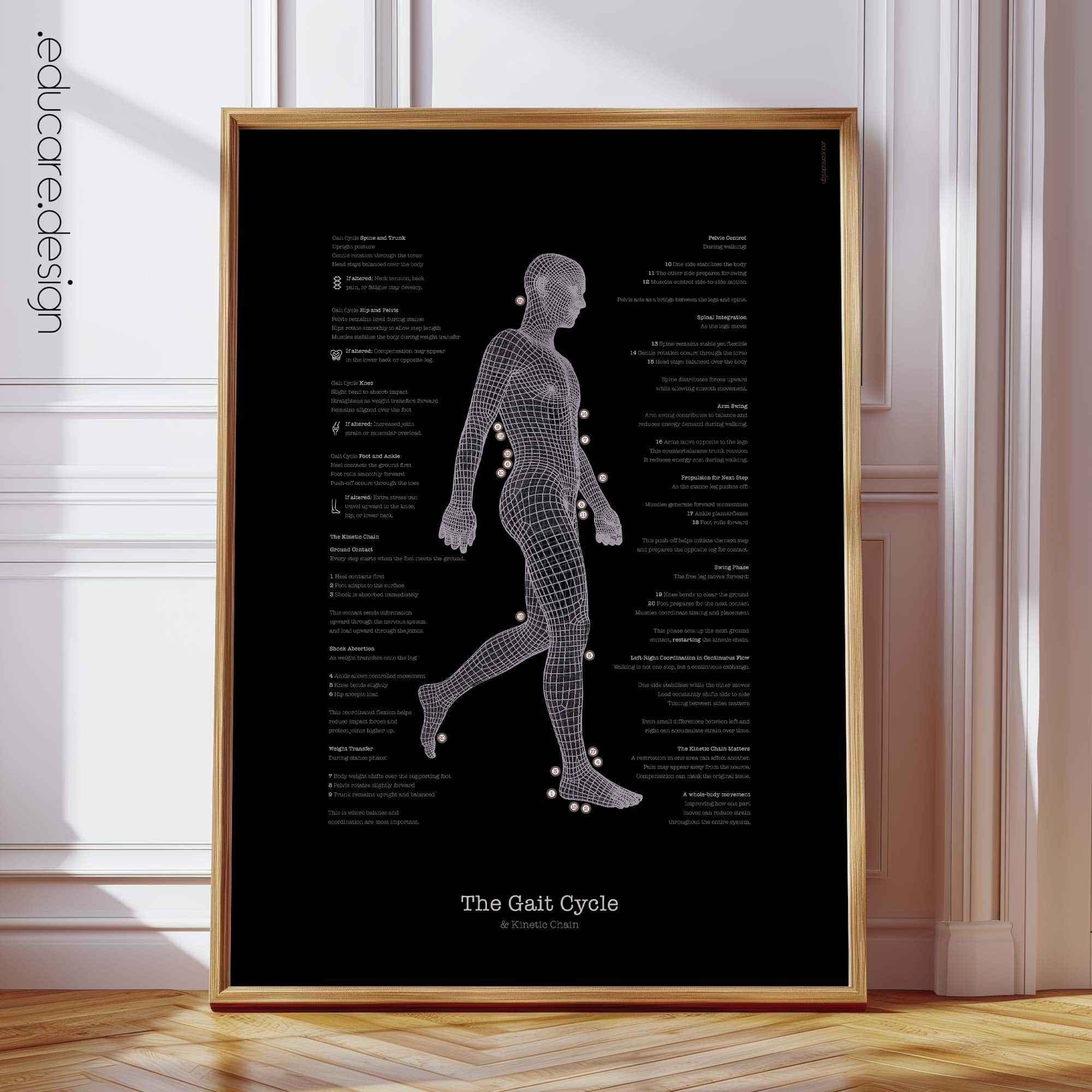 The Gait Cycle and Kinetic Chain - Black Edition