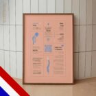 Nekpijn – Quick Guide anatomisch diagram voor praktijken en klinieken