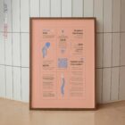 Douleur Cervicale Quick Guide planche anatomique pour cabinets et cliniques