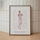Eingeschränkte Haltungskontrolle Anatomie-Chart für Praxen und Kliniken