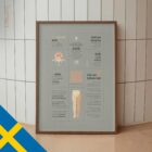 Ischiassmärta – Quick Guide anatomidiagram för kliniker