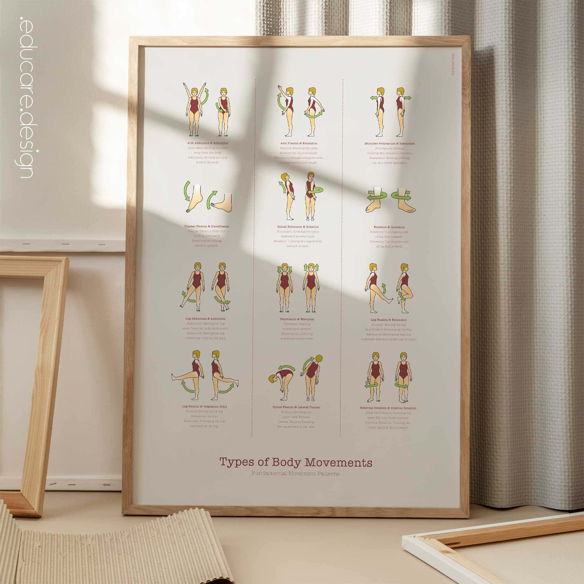 Types of Body Movements - Anatomy Chart with Fundamental Movement Patterns