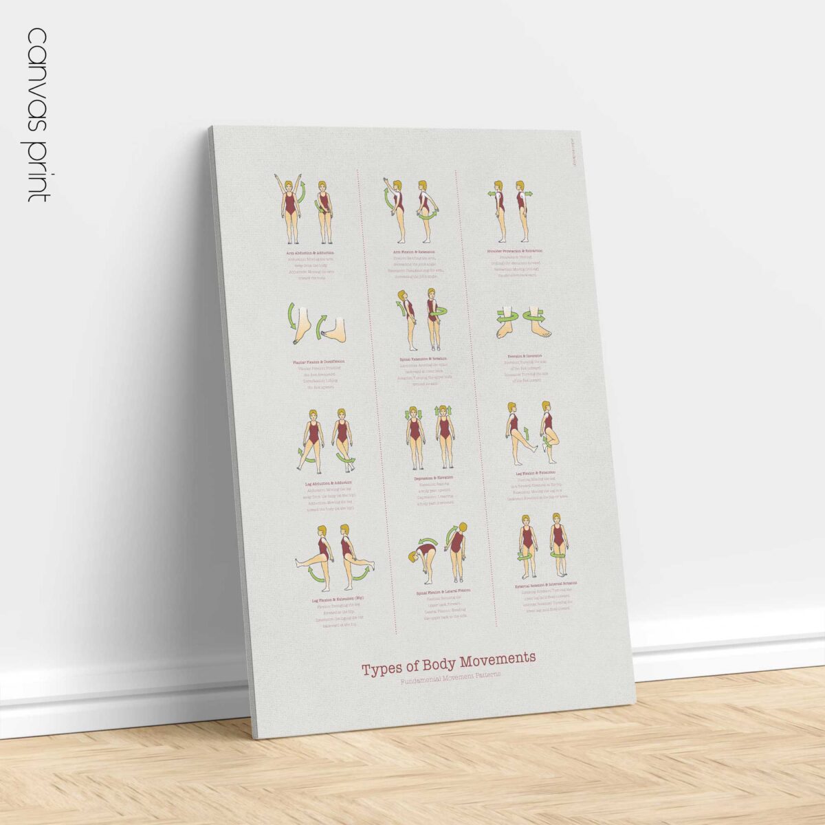 Types of Body Movements - Anatomy Chart with Fundamental Movement Patterns