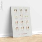 Types of Body Movements anatomy chart for clinics