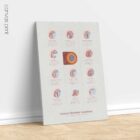 Common Shoulder Conditions anatomy chart for clinics